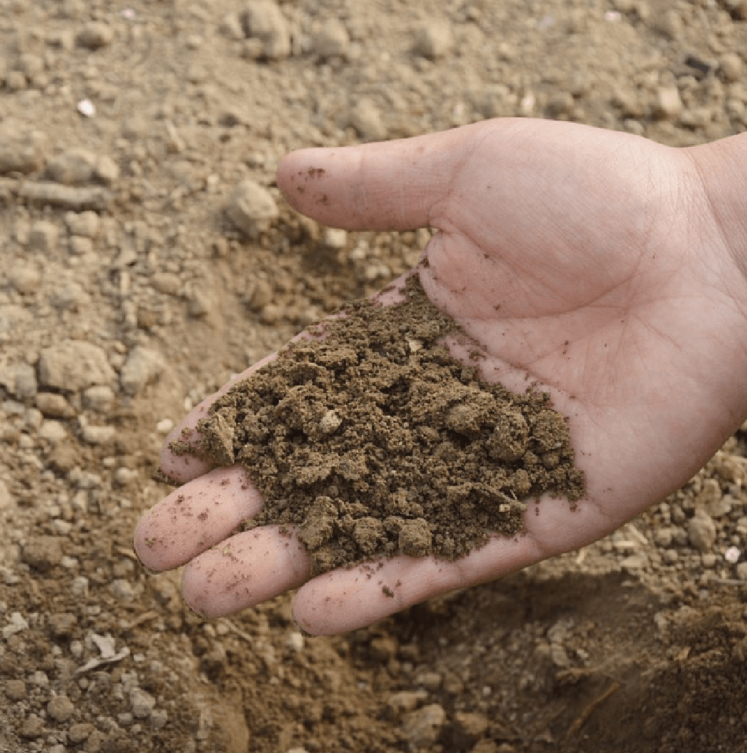 O firmie Agrolider O firmie Agrolider